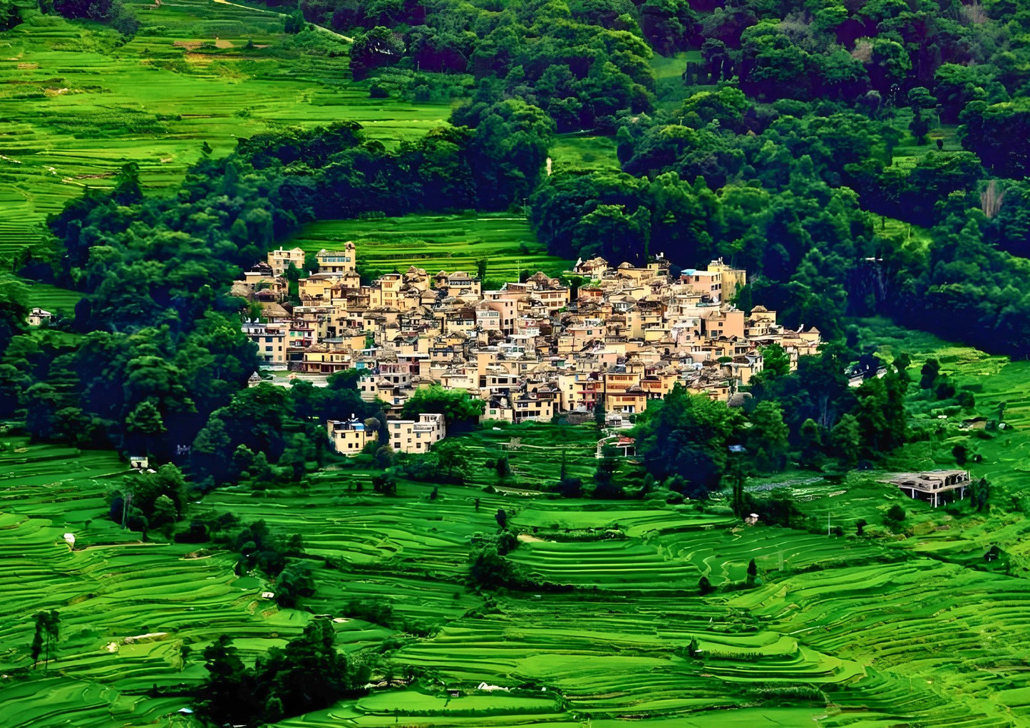 14 DAYS XISHUANGBANNA PRIVATE TOUR