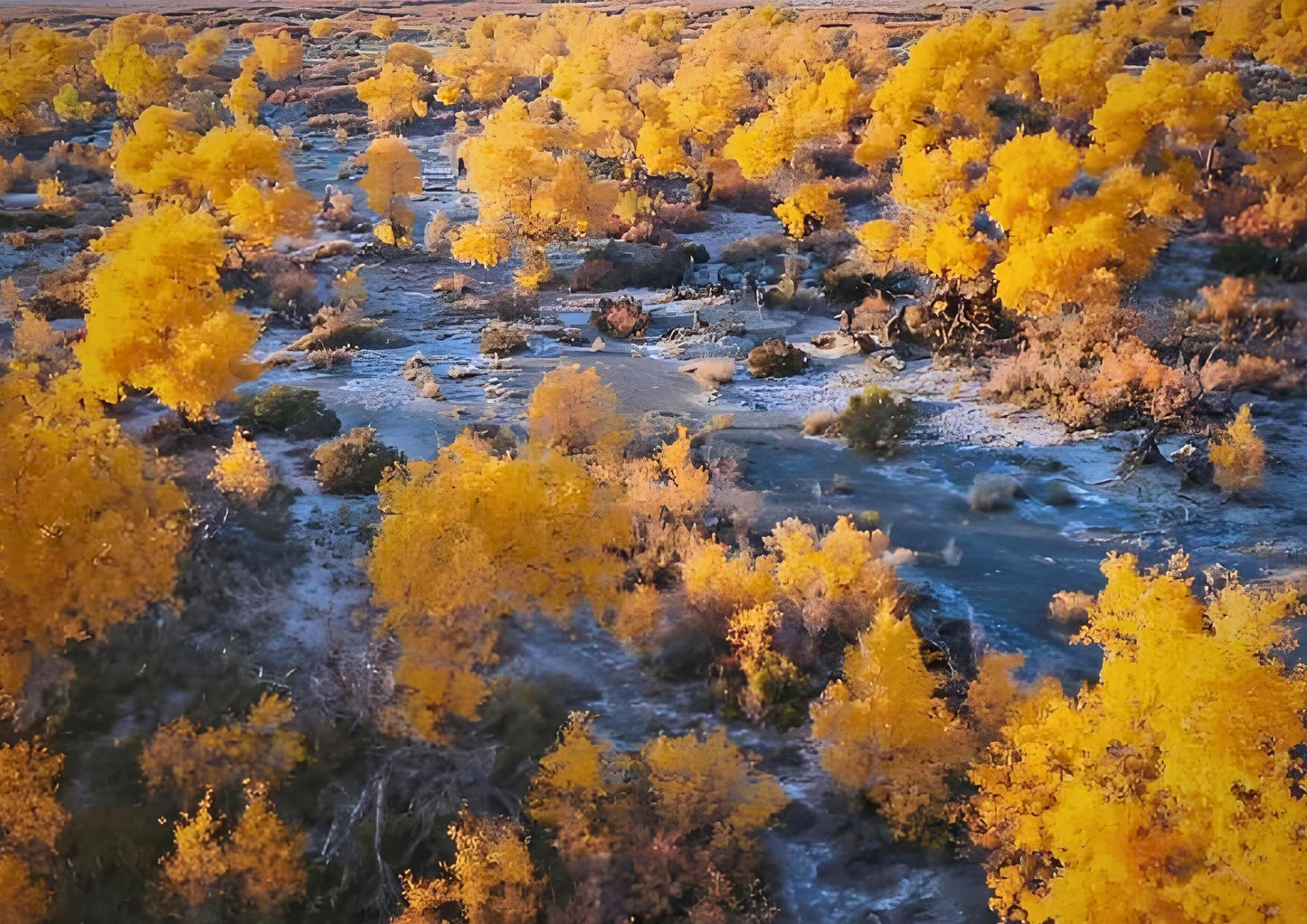 10 DAYS NORTH & WEST XINJIANG PRIVATE TOUR