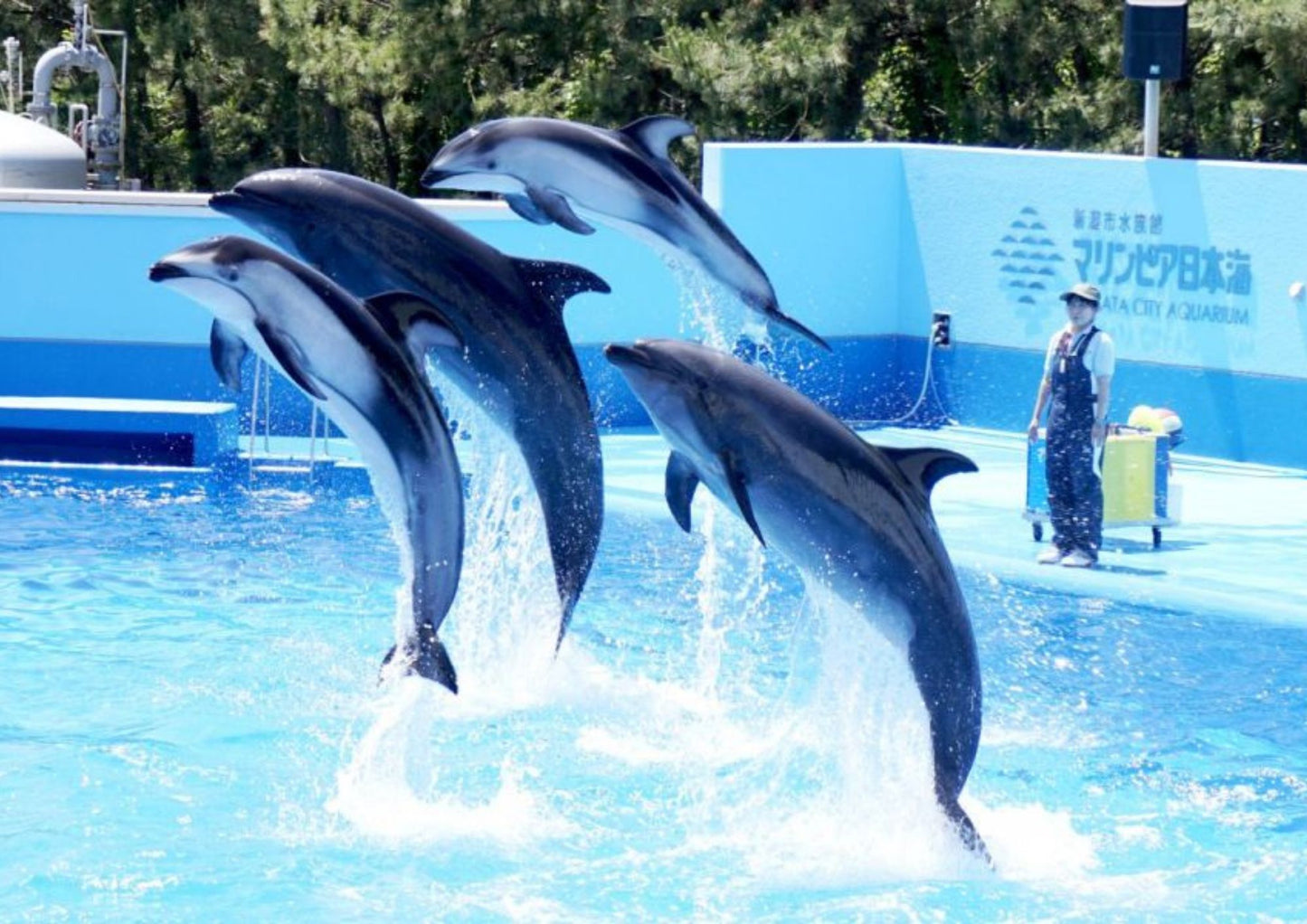 10天甲信越私人包團