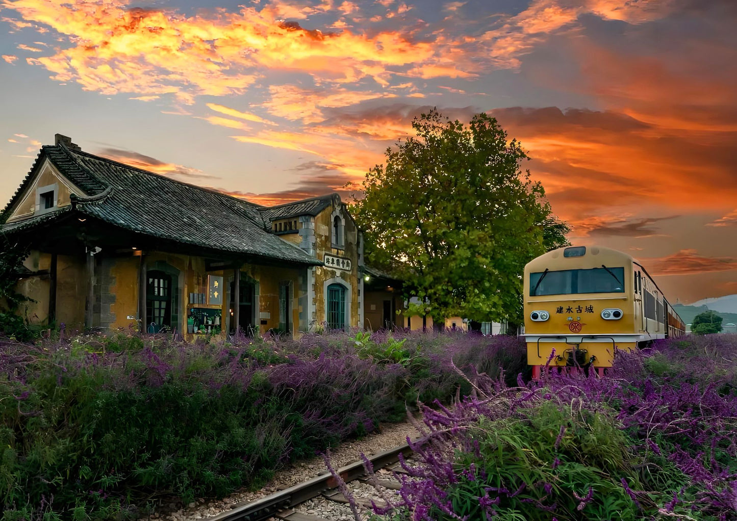 14 DAYS XISHUANGBANNA PRIVATE TOUR