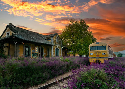 14 DAYS XISHUANGBANNA PRIVATE TOUR