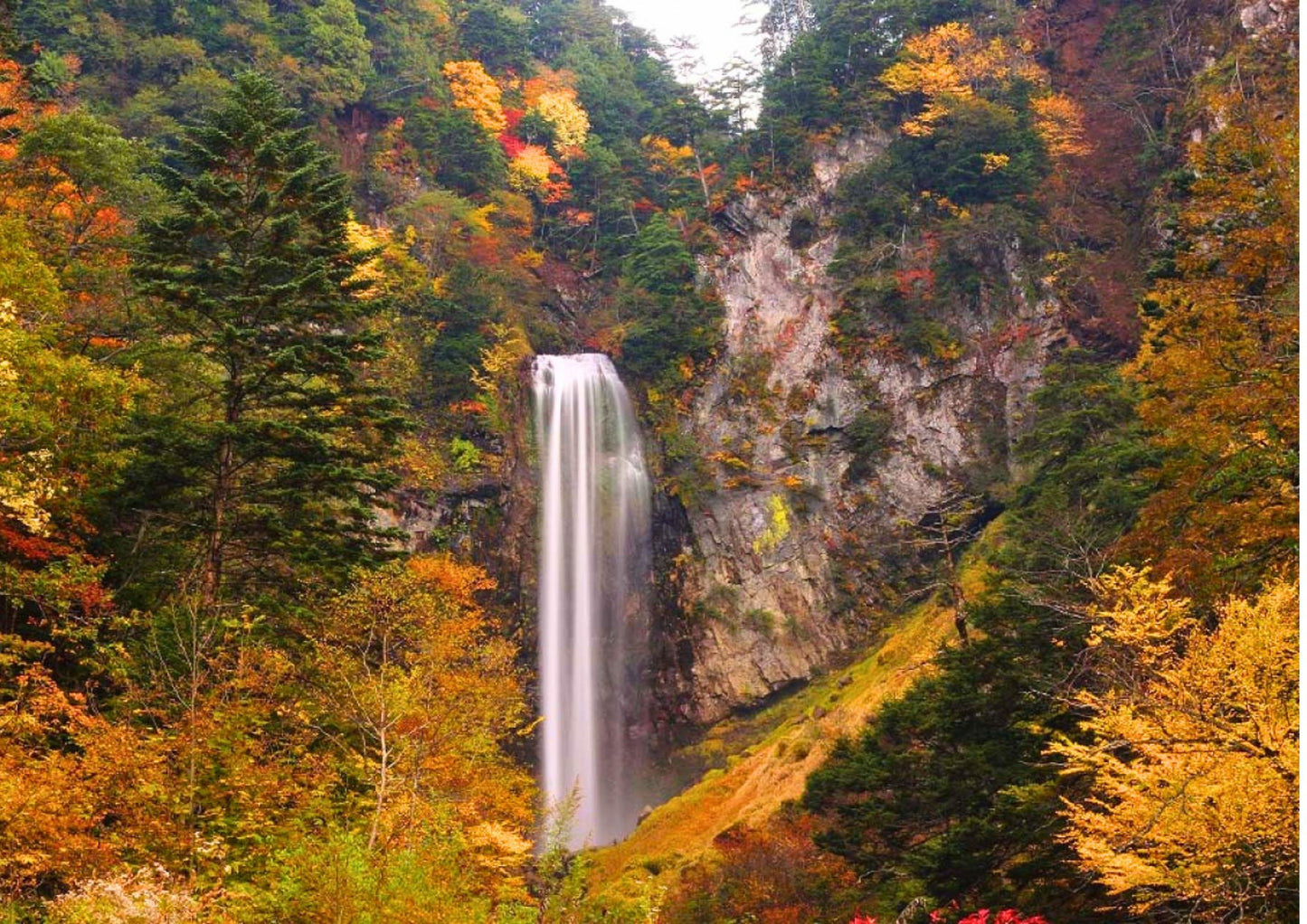 7天白川鄉私人包團