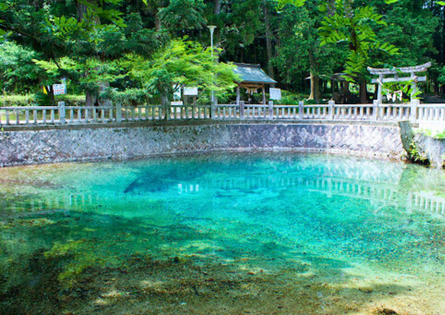 11天山陽・山陰私人包團