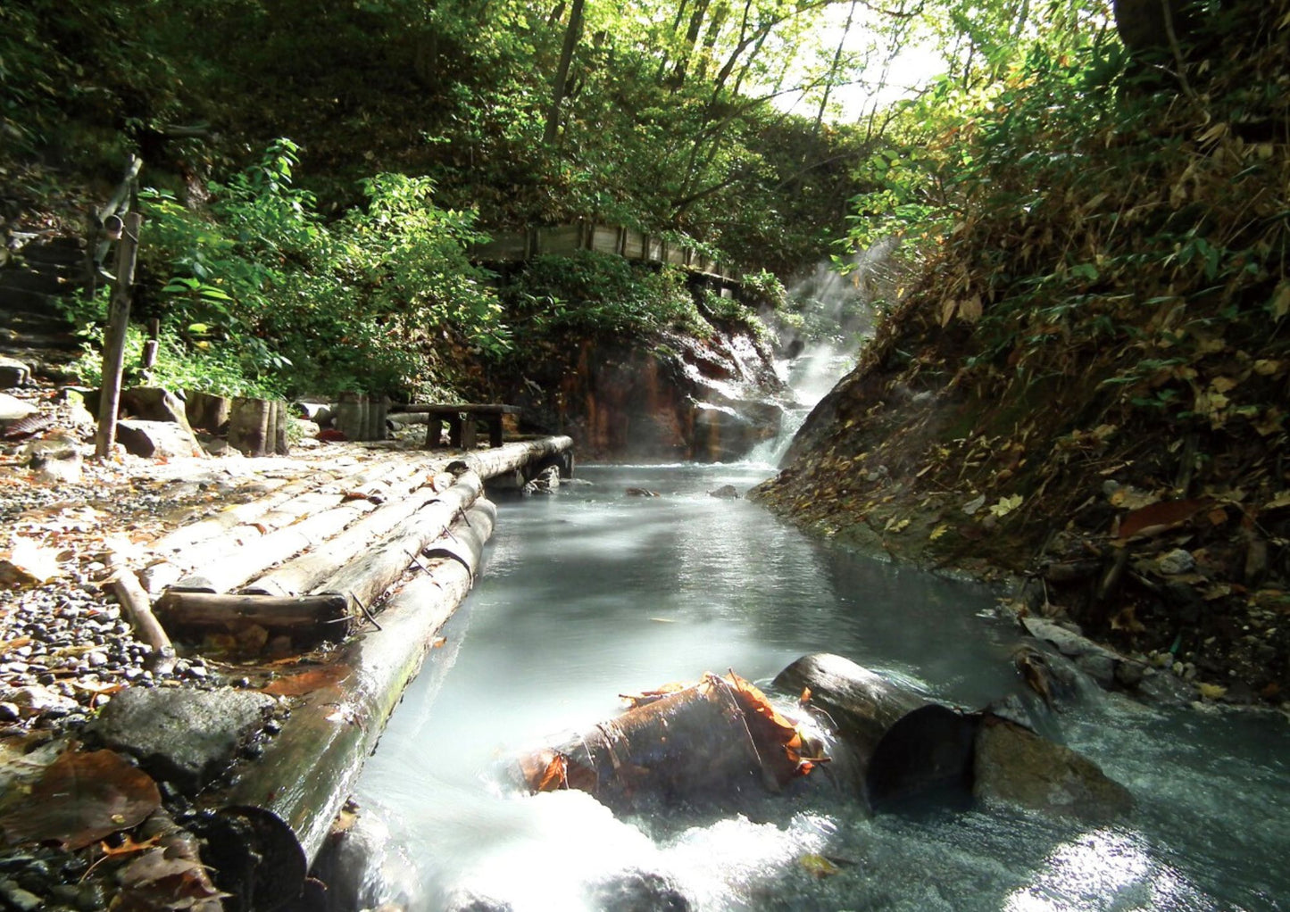 7 天北海道道央私人包團