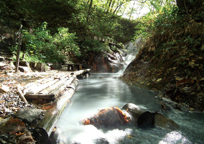 7 天北海道道央私人包團