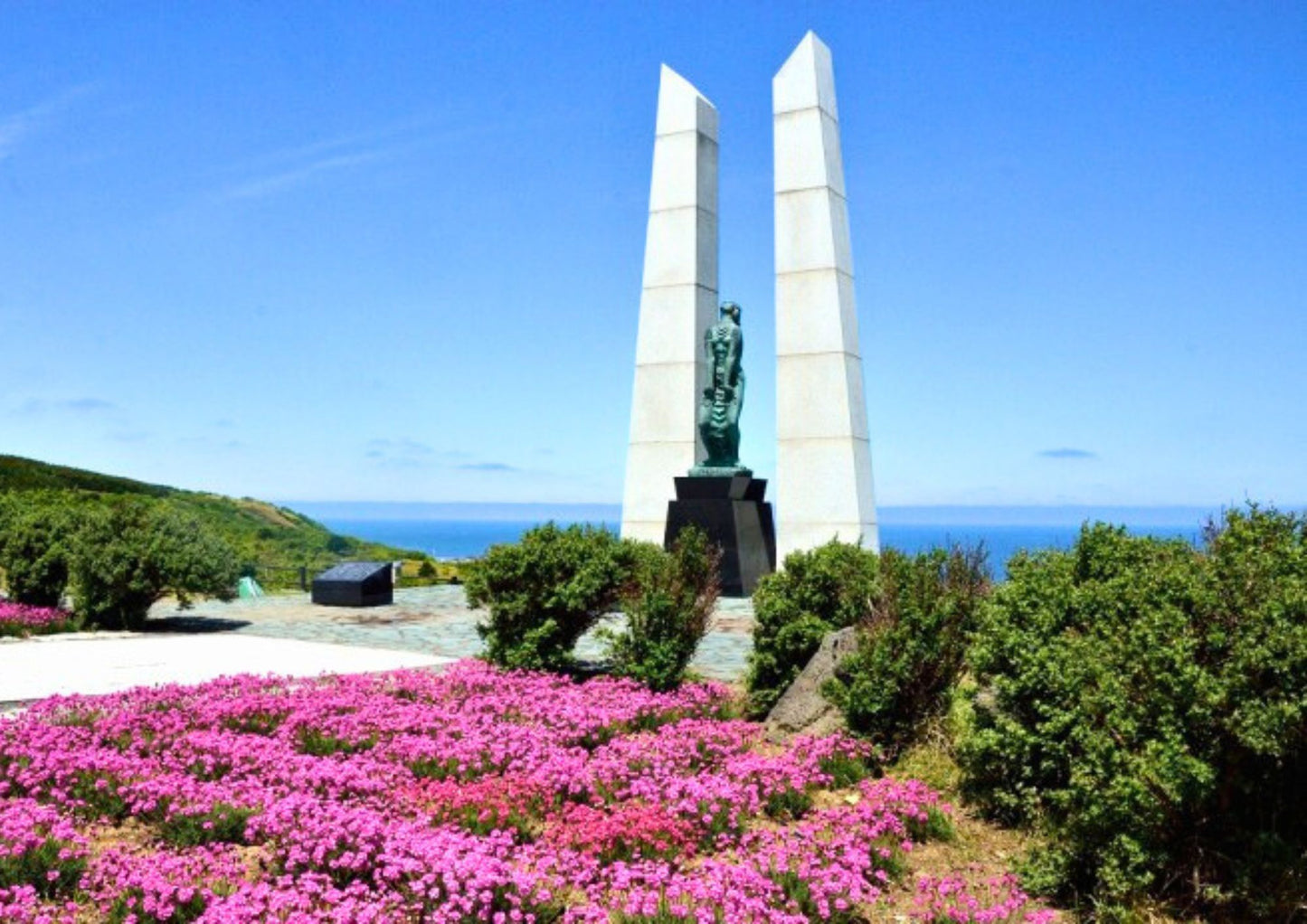 7 天北海道道北私人包團