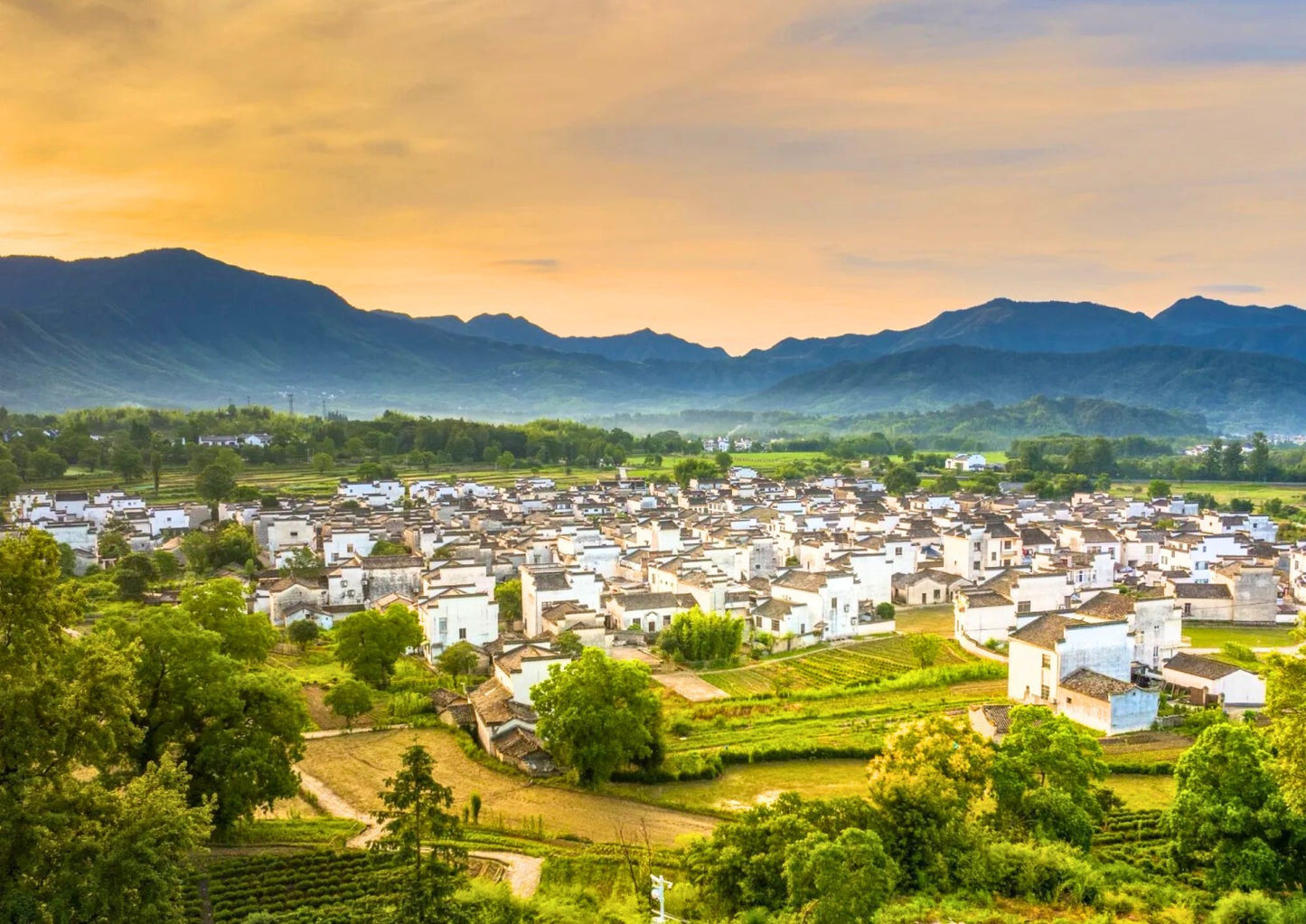 7日間の黄山プライベートツアー