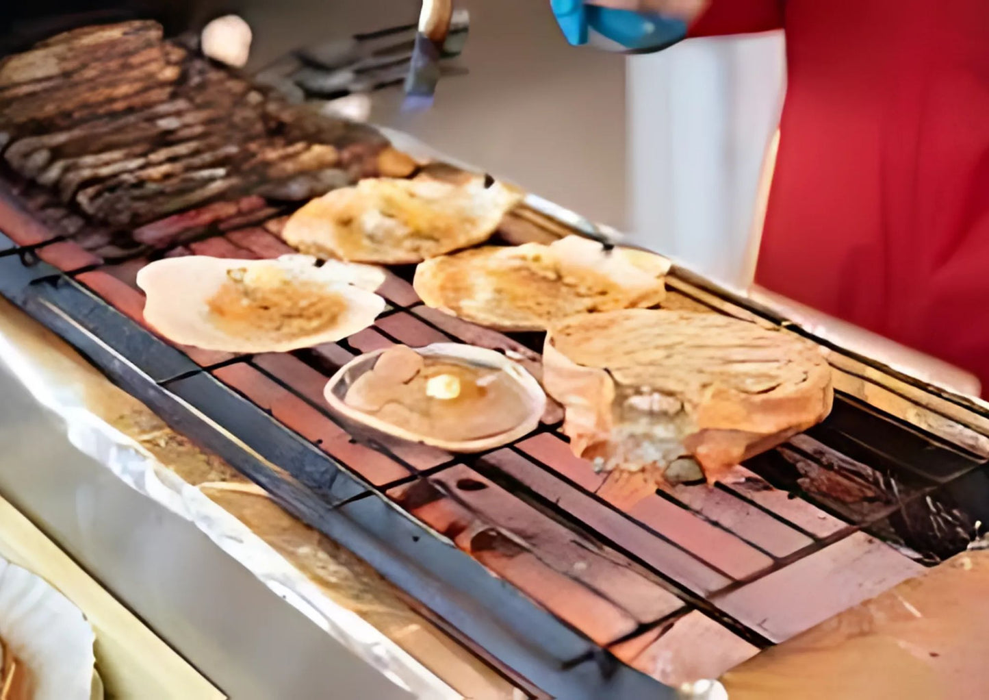 10天甲信越私人包團