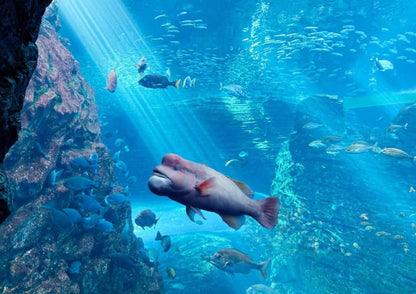 10天甲信越私人包團