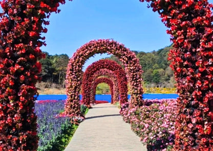 3 DAYS GUANGZHOU & CONGHUA PRIVATE TOUR