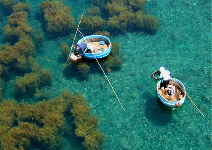 11日間の甲信越プライベートツアー