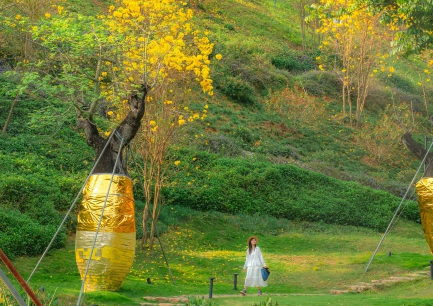 3 DAYS GUANGZHOU & CONGHUA PRIVATE TOUR