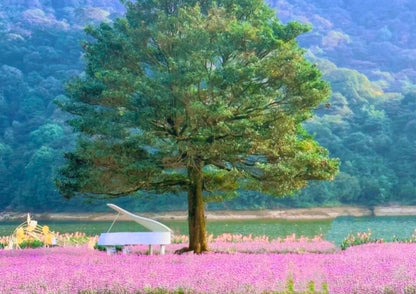 3 DAYS GUANGZHOU & CONGHUA PRIVATE TOUR