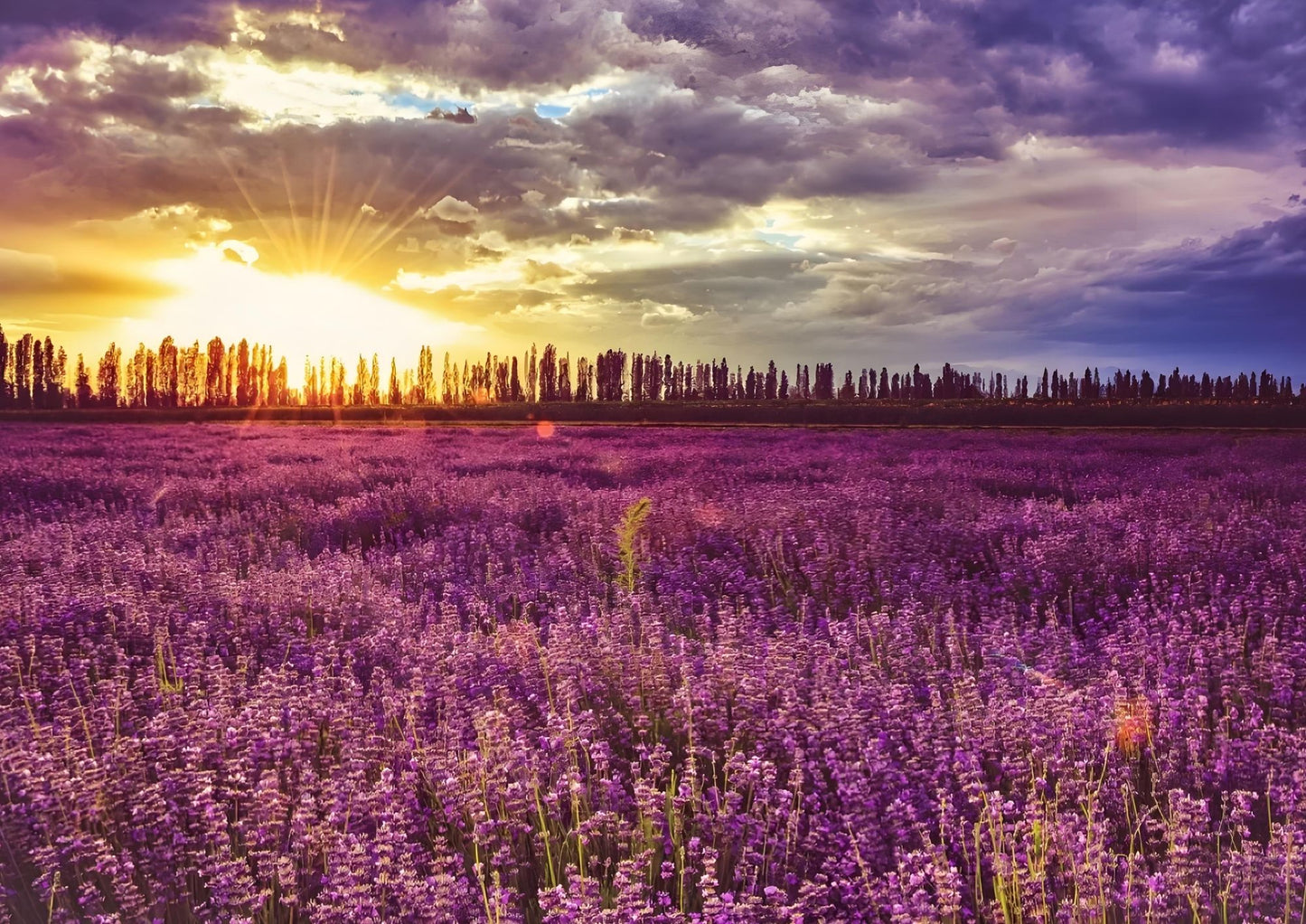 10 DAYS NORTH & WEST XINJIANG PRIVATE TOUR