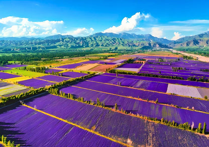10 DAYS NORTH & WEST XINJIANG PRIVATE TOUR