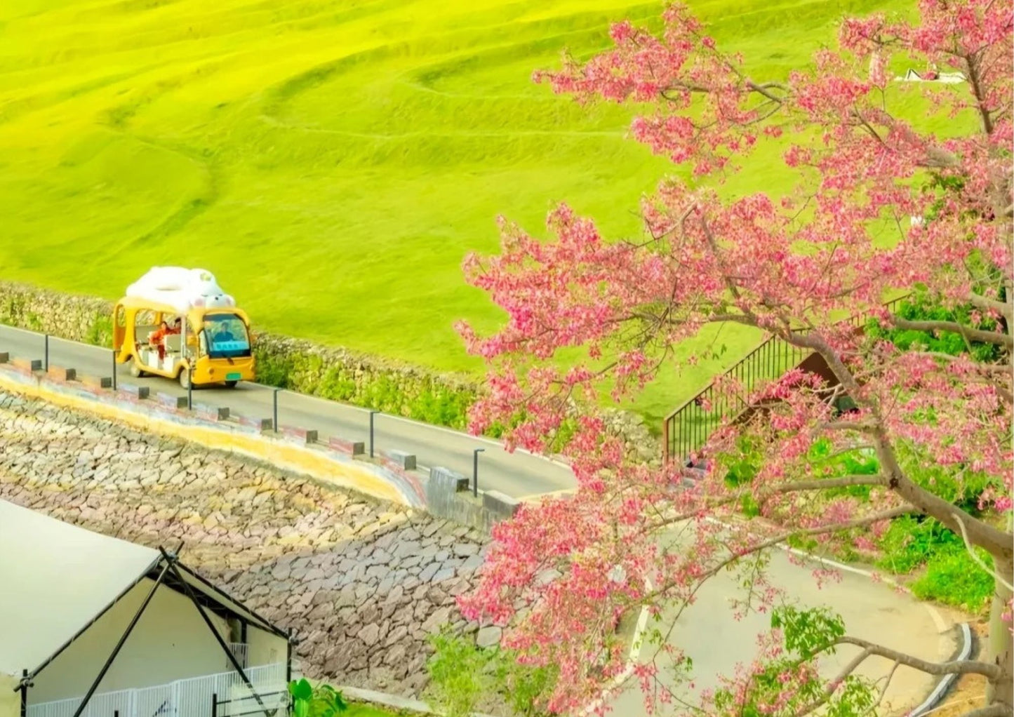 3 DAYS GUANGZHOU & CONGHUA PRIVATE TOUR