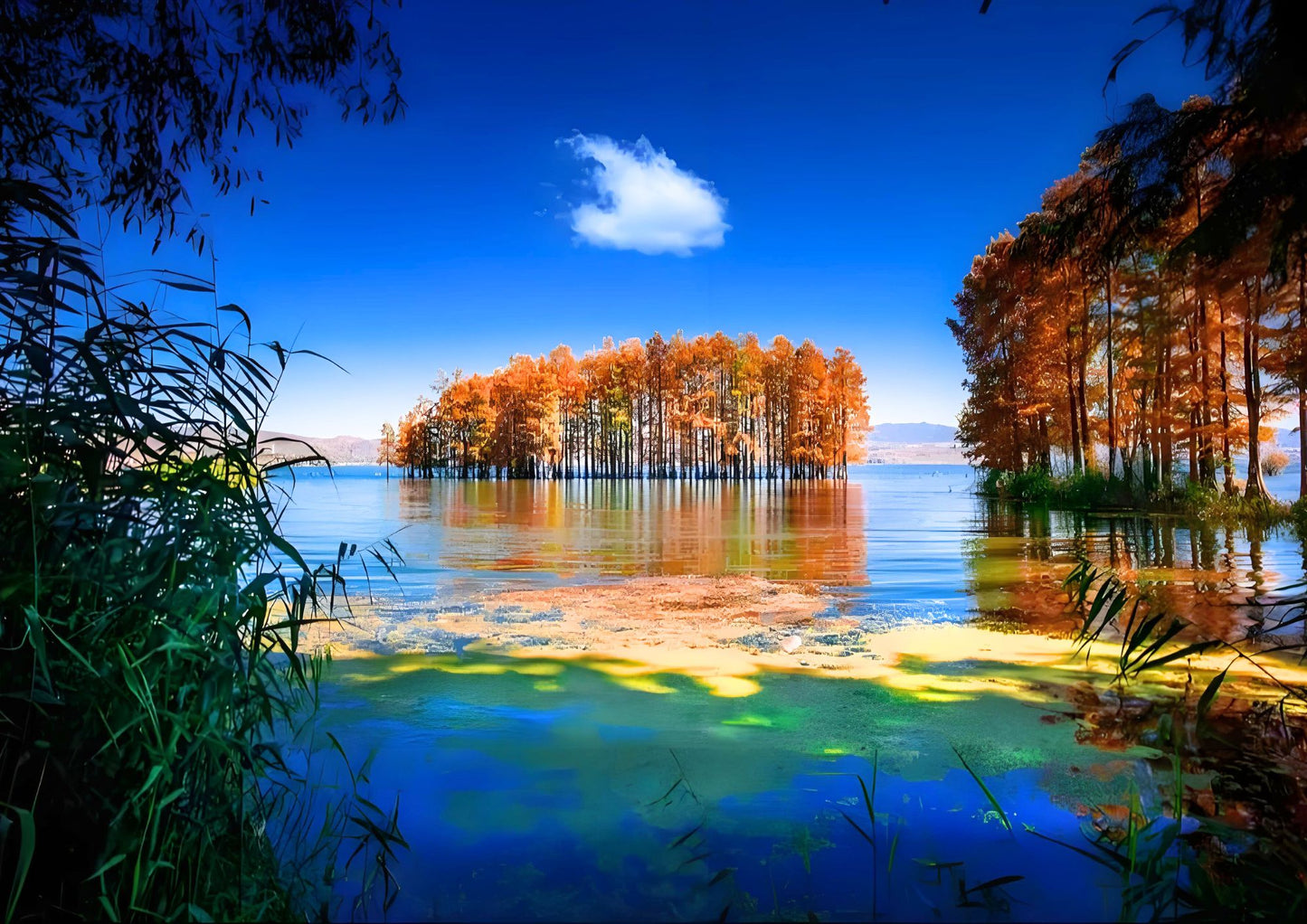 14 DAYS XISHUANGBANNA PRIVATE TOUR