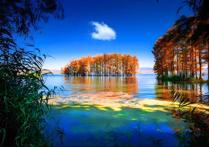 14 DAYS XISHUANGBANNA PRIVATE TOUR