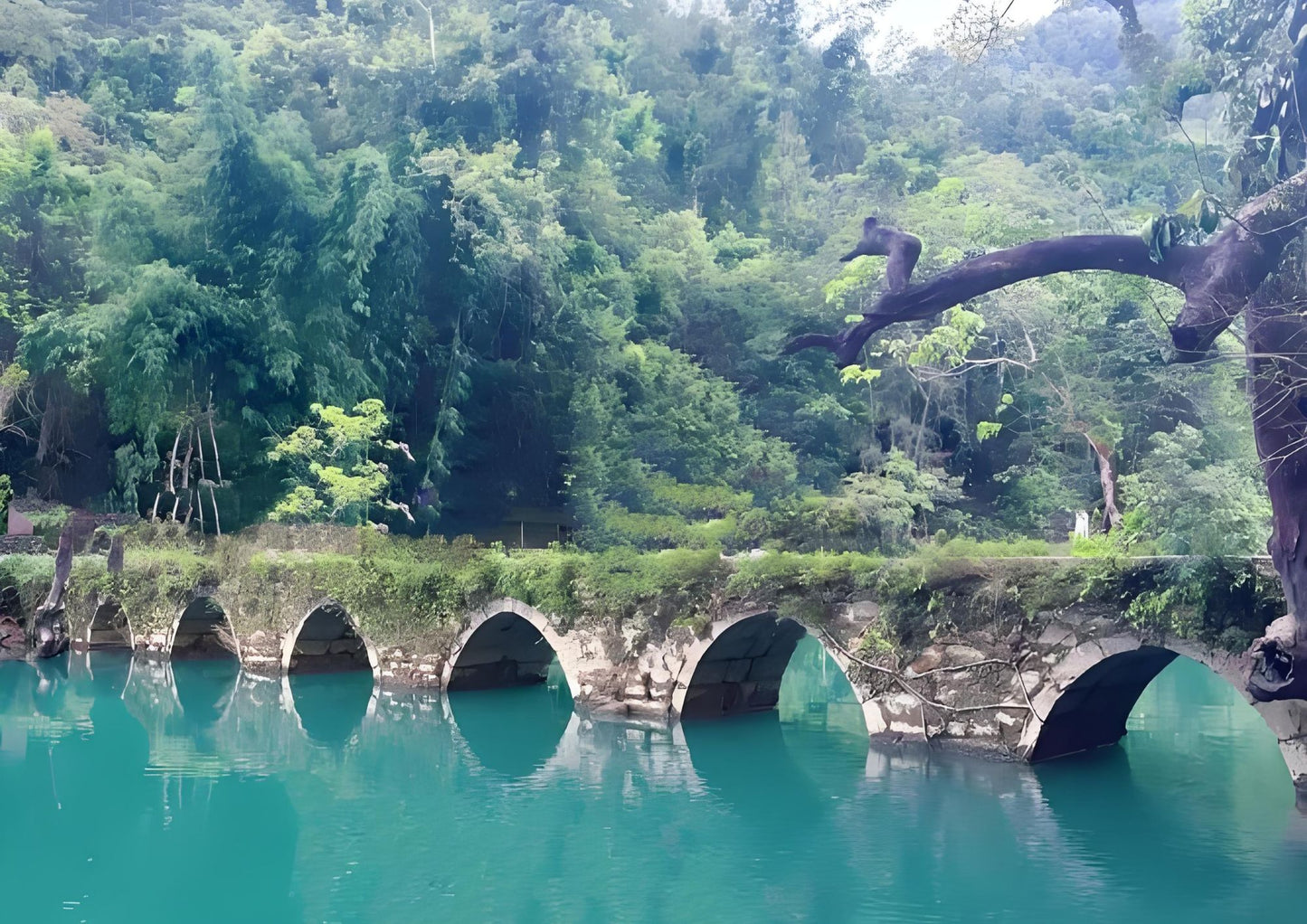 7 DAYS GUIZHOU PRIVATE TOUR