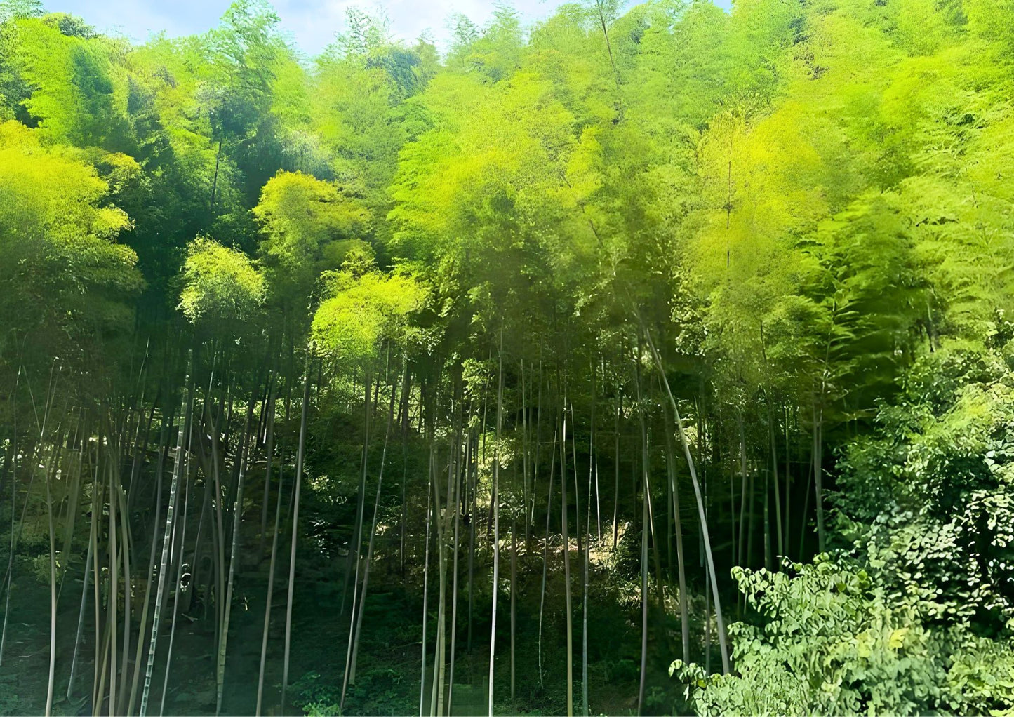 8 DAYS JIANGSU PRIVATE TOUR