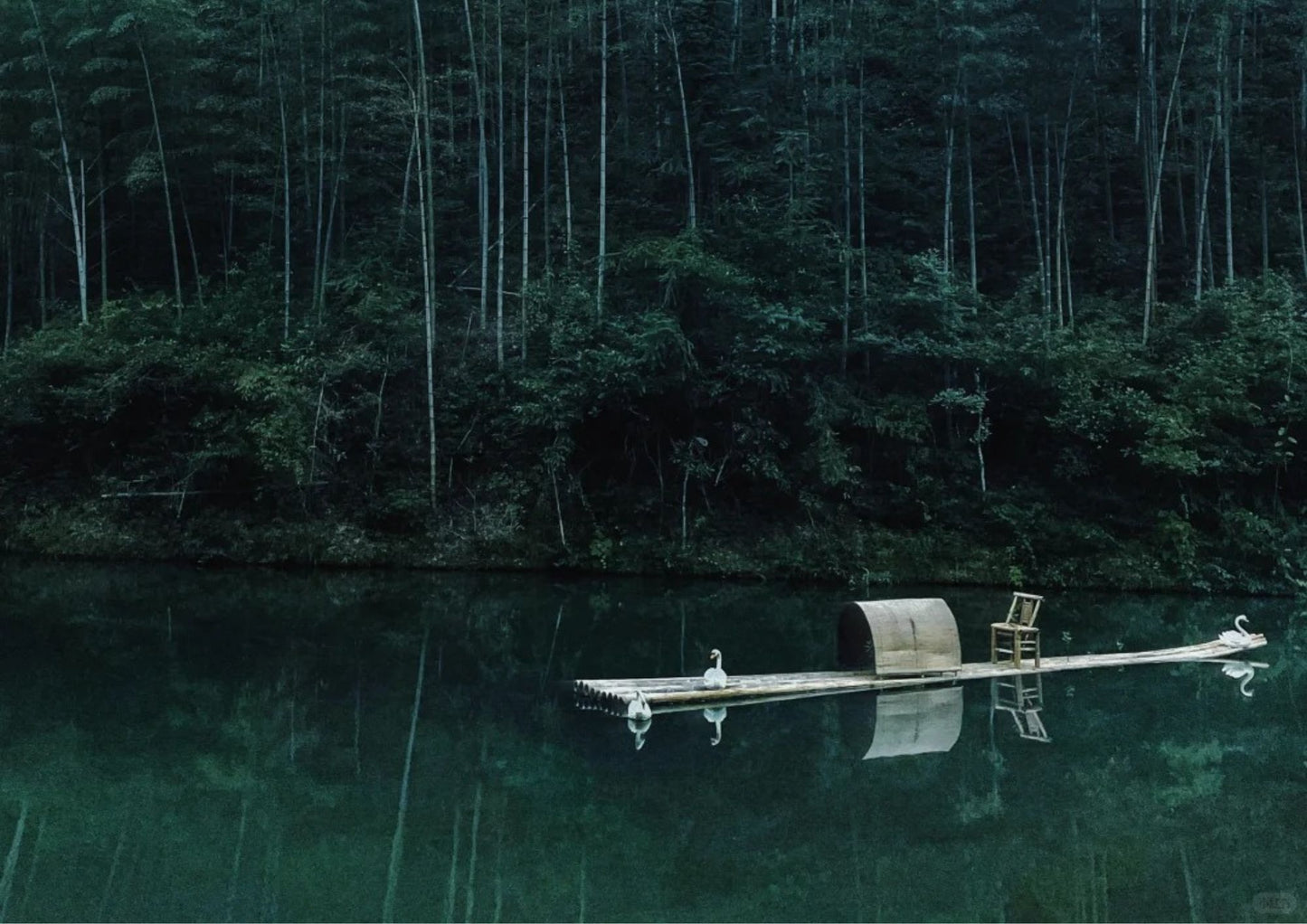 7日間の黄山プライベートツアー