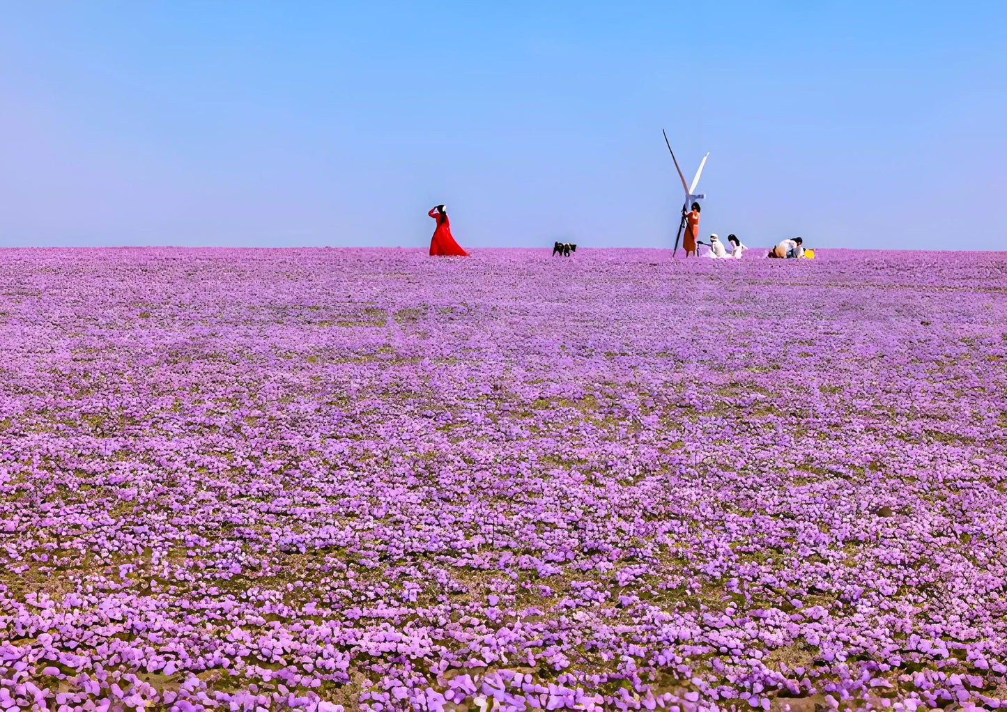 10 DAYS NORTH & WEST XINJIANG PRIVATE TOUR