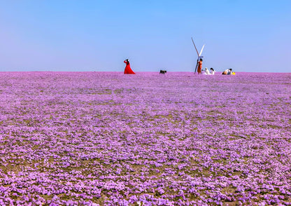 10 DAYS NORTH & WEST XINJIANG PRIVATE TOUR