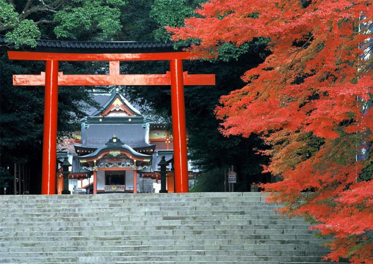 5 DAYS SOUTH KYUSHU PRIVATE TOUR