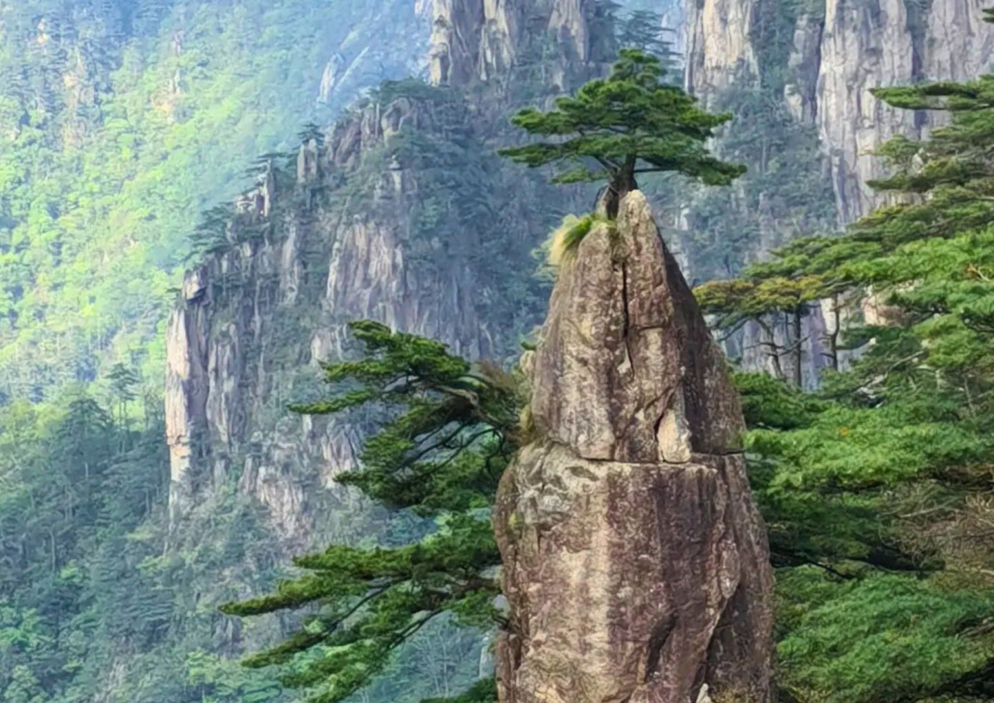 7日間の黄山プライベートツアー