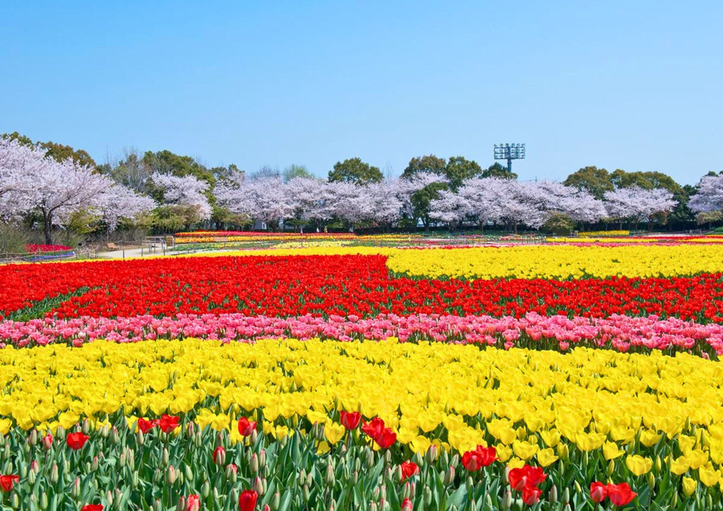 7 DAYS TATEYAMA PRIVATE TOUR