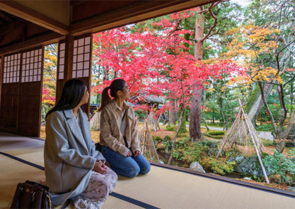 10天甲信越私人包團