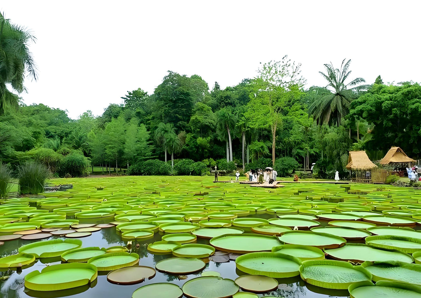 14 DAYS XISHUANGBANNA PRIVATE TOUR