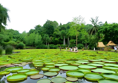 14 DAYS XISHUANGBANNA PRIVATE TOUR