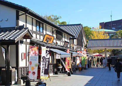 8 DAYS NORTH KYUSHU PRIVATE TOUR