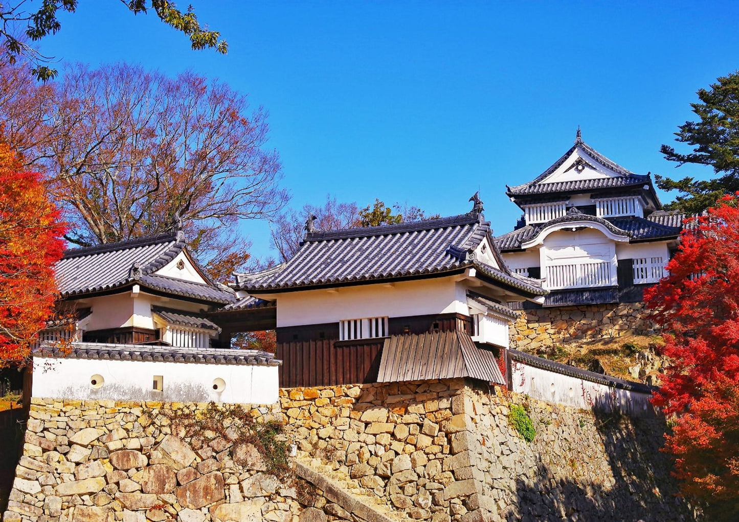 14天山陽・山陰私人包團