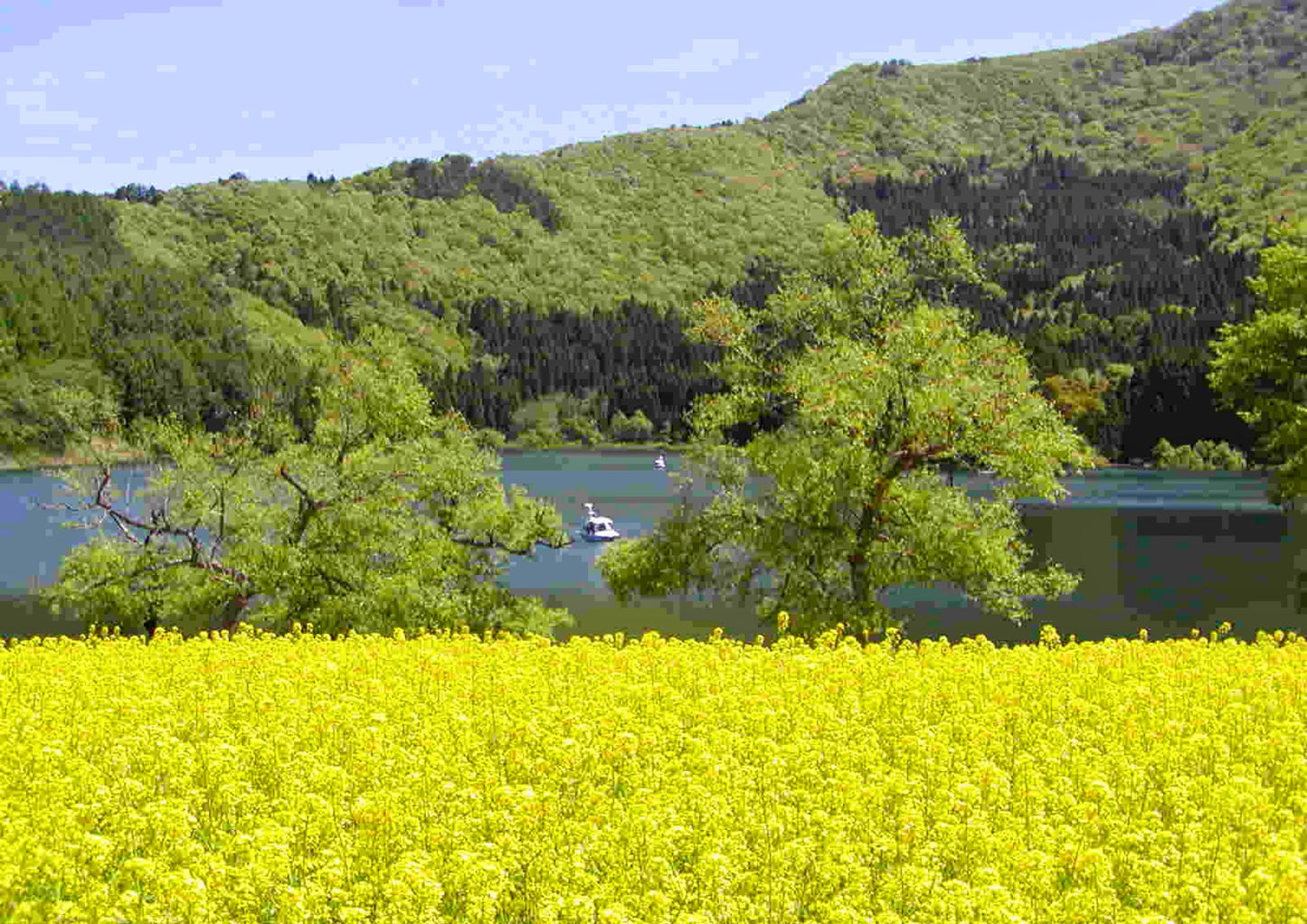 10天甲信越私人包團