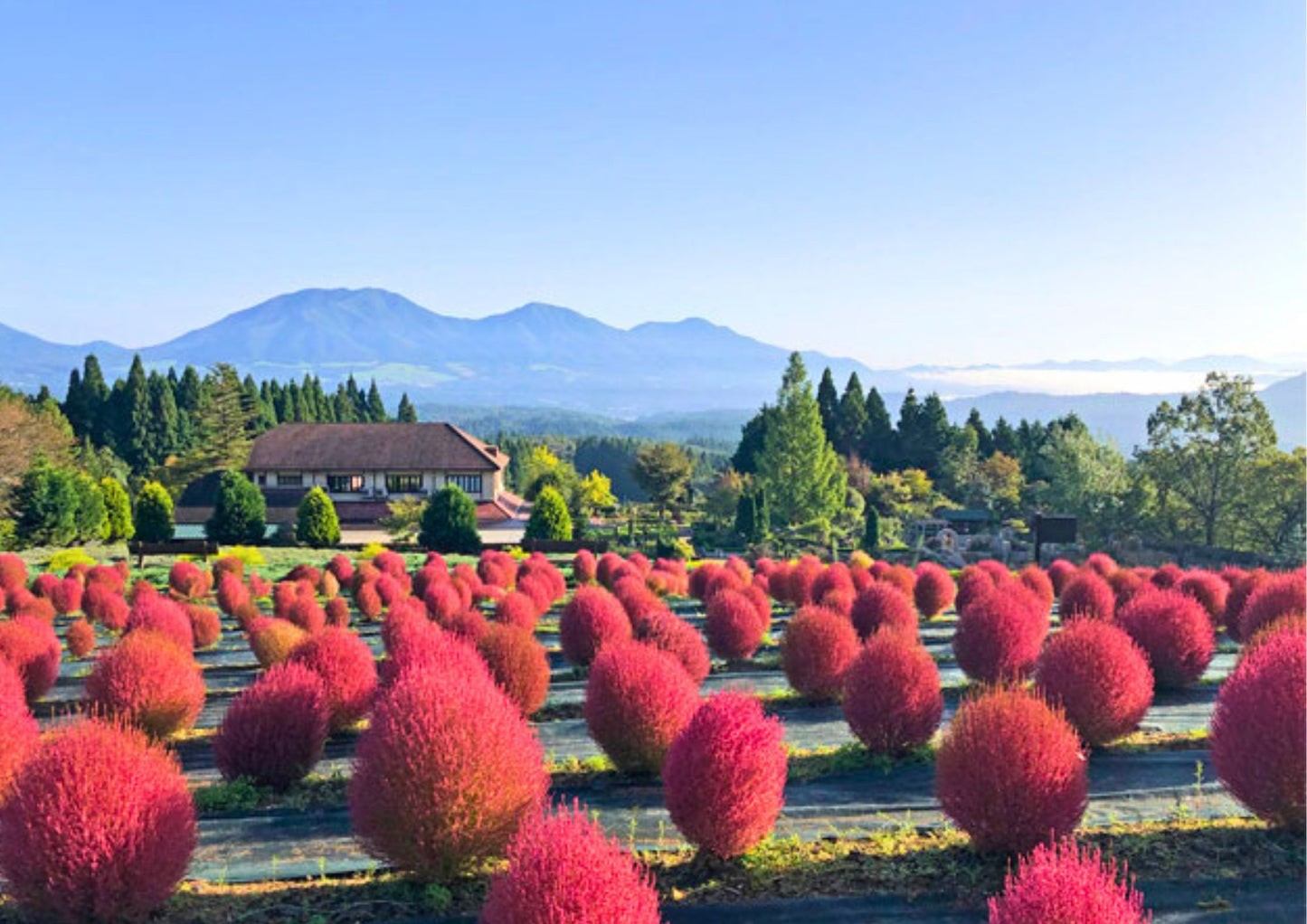 6天山陽・山陰私人包團