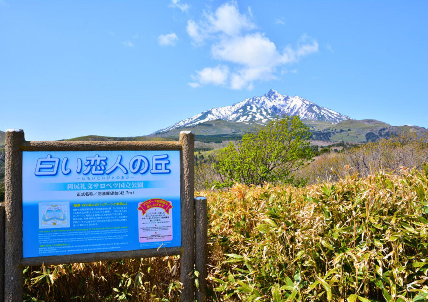 8 DAYS NORTH HOKKADIO PRIVATE TOUR