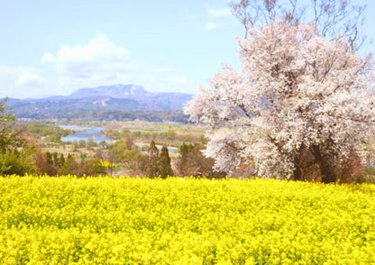 10天甲信越私人包團
