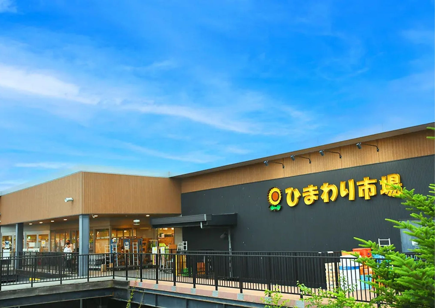 10天甲信越私人包團