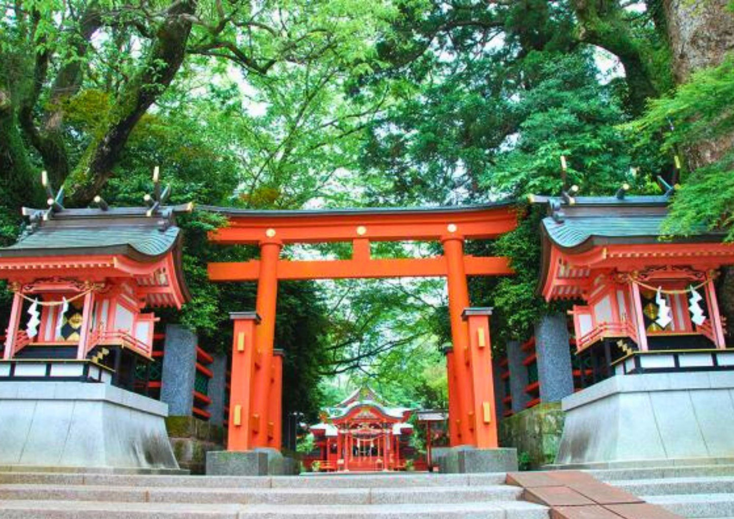 7 DAYS SOUTH KYUSHU PRIVATE TOUR