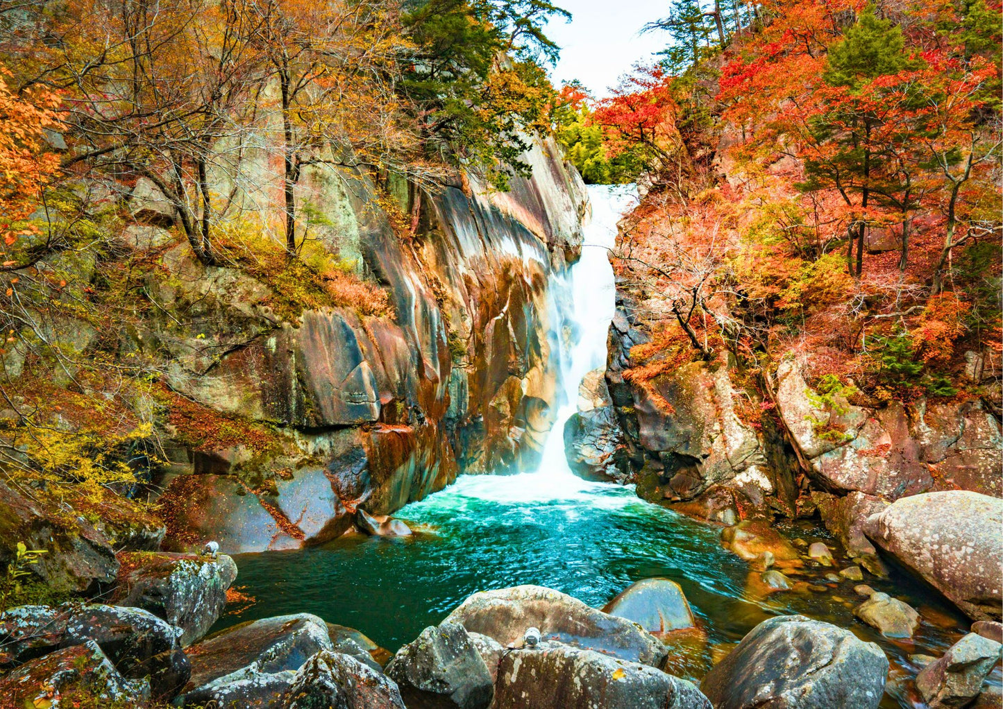 10天甲信越私人包團