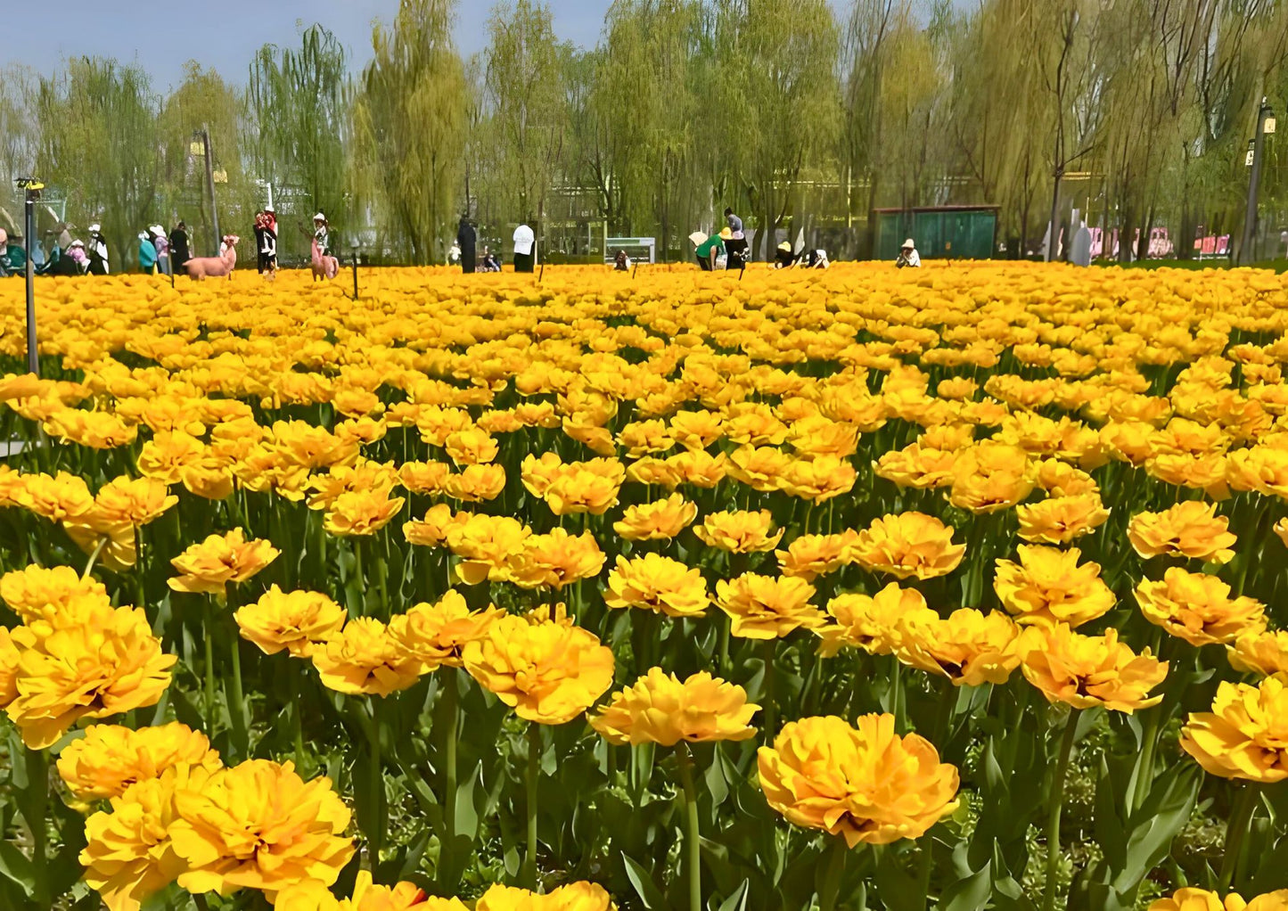 12 DAYS NORTH & EAST XINJIANG PRIVATE TOUR