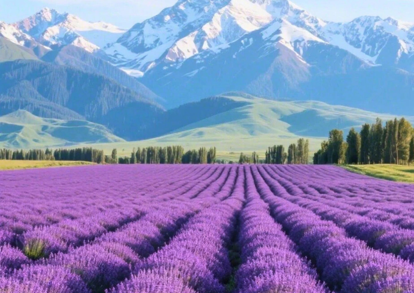10 DAYS NORTH & WEST XINJIANG PRIVATE TOUR