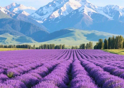 10 DAYS NORTH & WEST XINJIANG PRIVATE TOUR