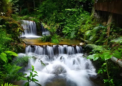 4 DAYS HUIZHOU PRIVATE TOUR