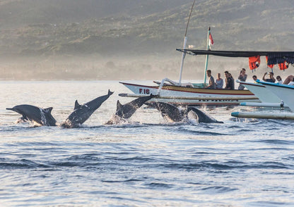 6 DAYS BALI PRIVATE TOUR