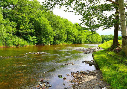 7 天北海道道北私人包團