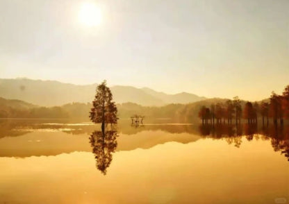 7日間の黄山プライベートツアー