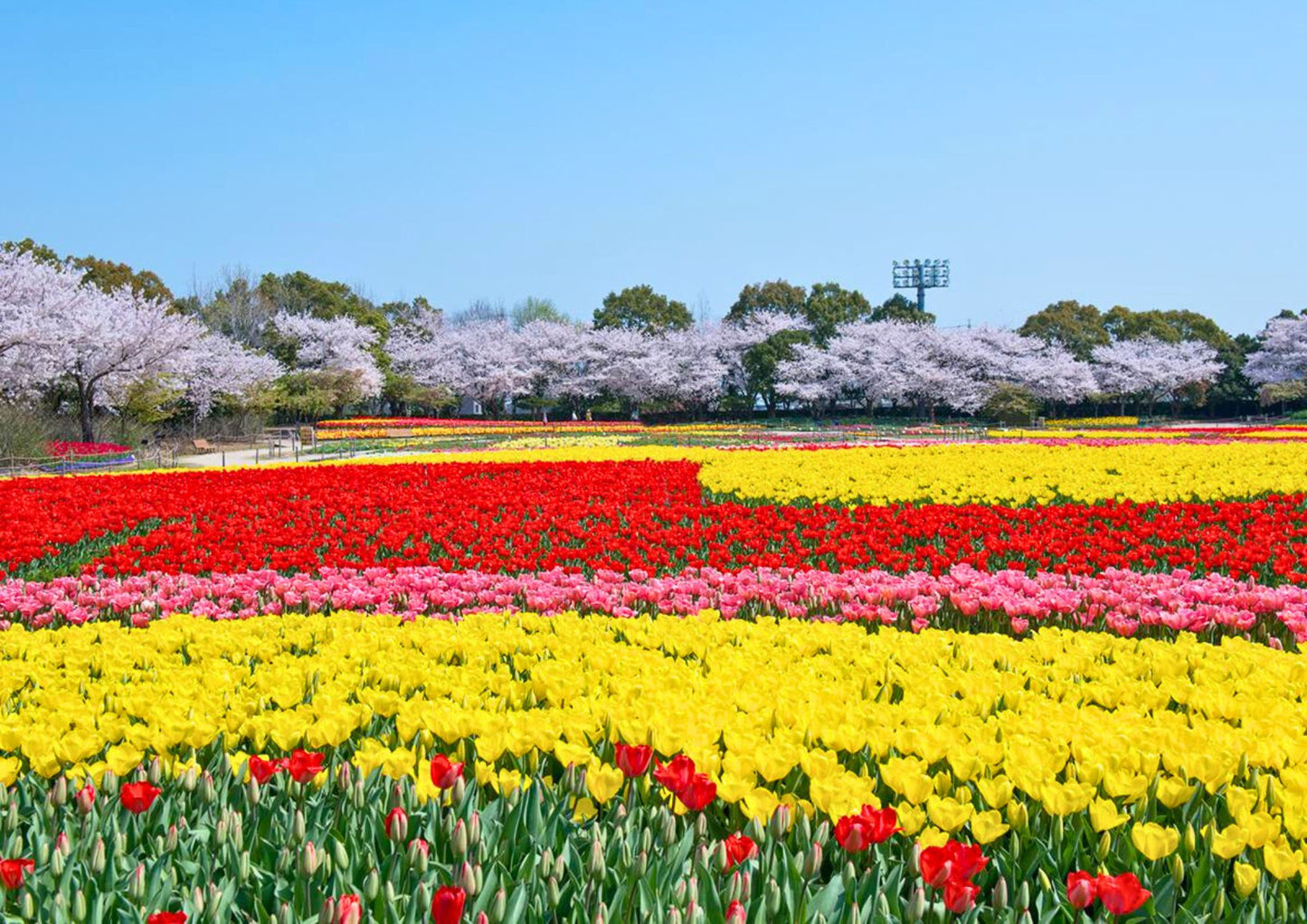 5 DAYS TATEYAMA PRIVATE TOUR